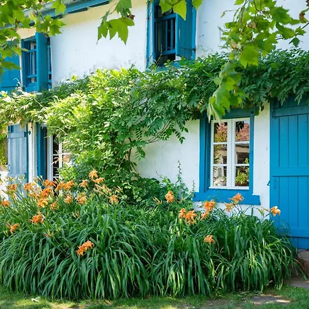 Maison De Charme Avec Jacuzzi *